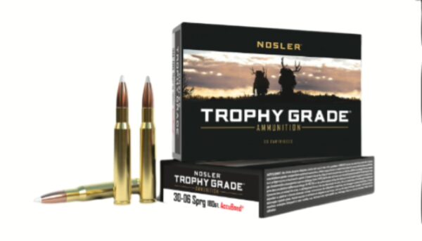 Nosler Ammo 30-06 Sprin 180gr Tg Accu (20)