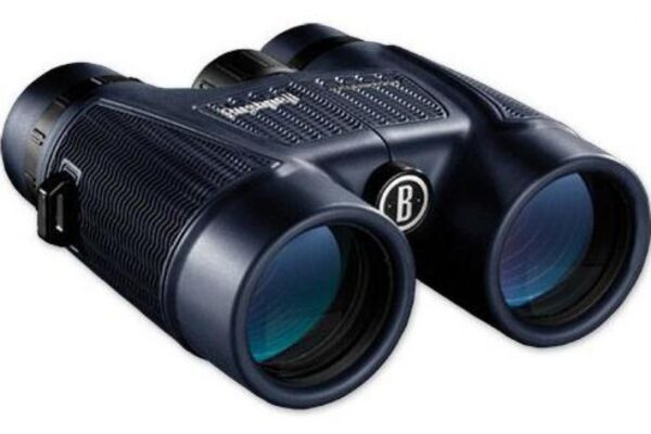 Bushnell bino 10x42 xlt trophy