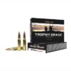 Nosler ammo 308 win 165gr tg accu (20)