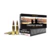 Nosler ammo 300 wsm 180gr tg accu (20)