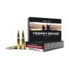 Nosler ammo 308 win 168gr tg accu (20)
