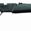 Daisy air rifle 901 dual ammo blk 800fps