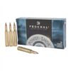 Federal 25-06 117gr power shok (20)