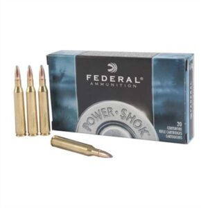Federal 25-06 117gr power shok (20)