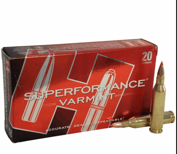 Hornady amm 243 win 58gr v-max spf (20)
