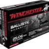 Win amm 25-06 rem 115gr bst (20)