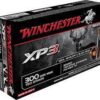 Win amm 300wm 150gr xp3 (20)