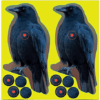 Bc Target Shoot N C Crow 8" (12pk)