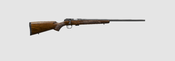 Cz rifle 22lr 457 american