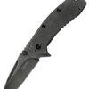 Kershaw cryo ii large blk wash blade