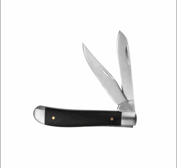 Kershaw gadsden