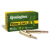Remington amm 30-06 180gr sp cl