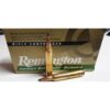 Remington amm 300 180gr u/mag