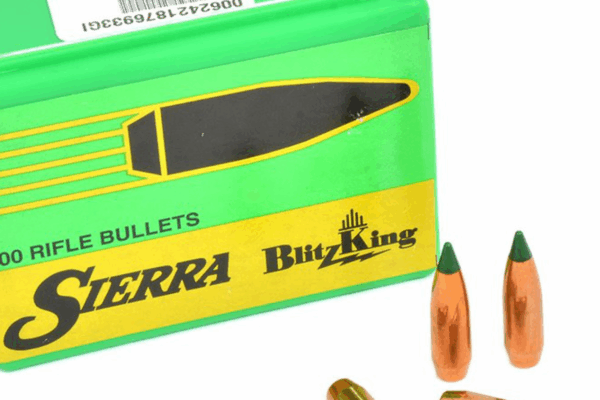 Sierra 22 55gr varminter sb (100)