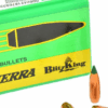 Sierra 22 55gr bk (100)