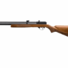 Atremis Air Gun Pr900w 5.5