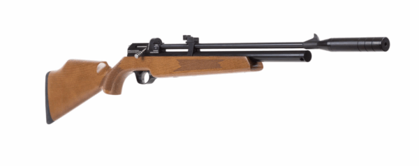 Artemis air gun pr900w combo