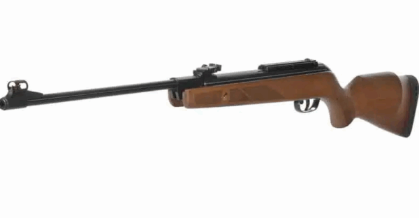 Gamo Air Rifle 4.5mm Hunter 440
